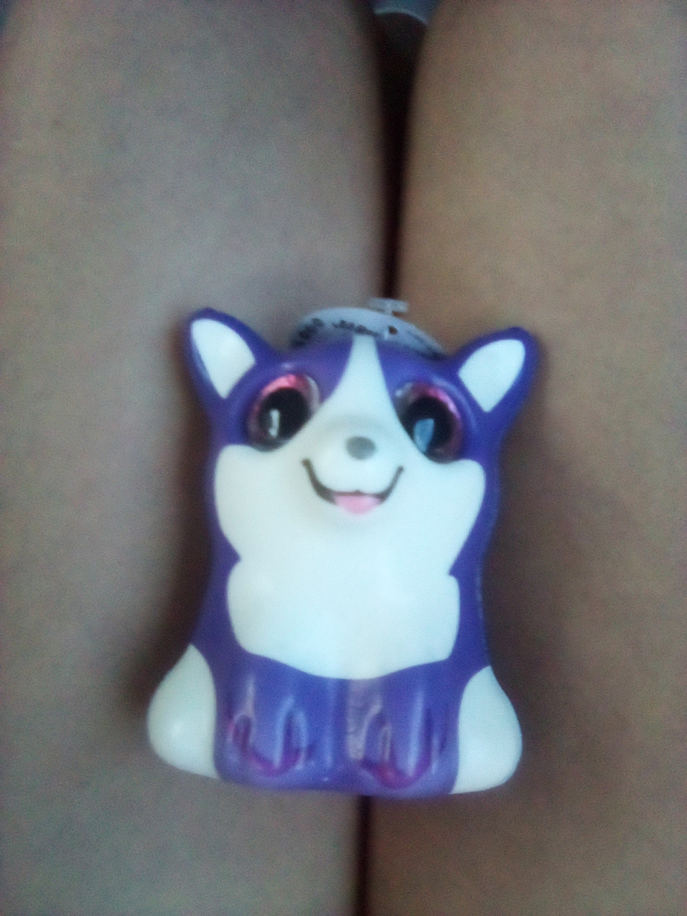 Corgi Jaru Squishy